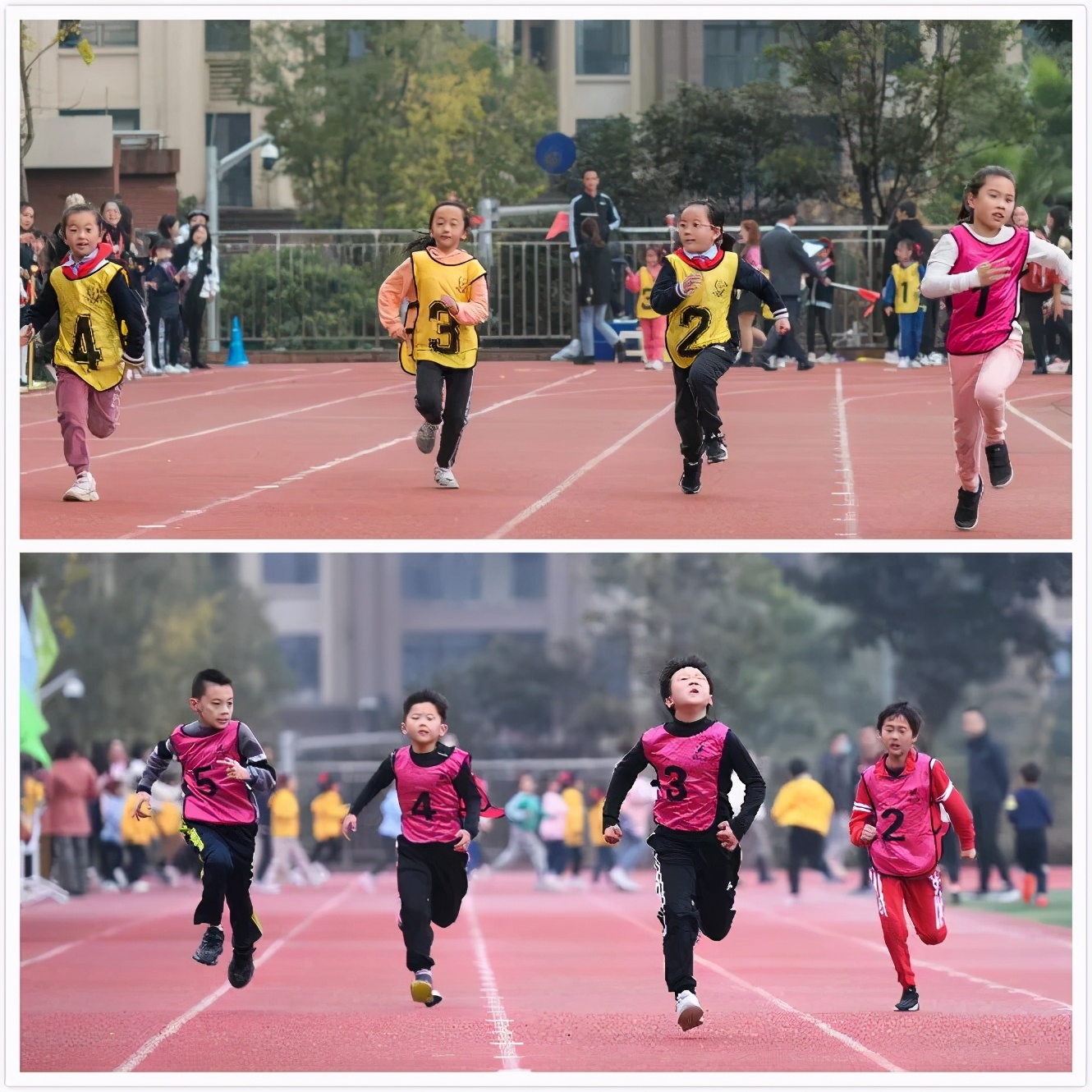重庆小学趣味运动会,重庆九龙小学运动会