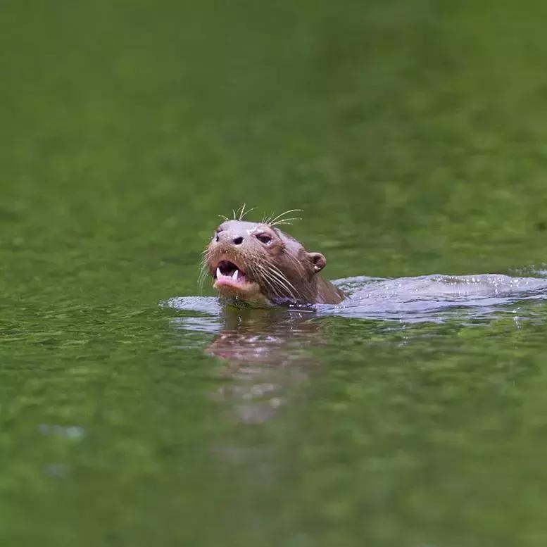 原来秘鲁的历史有那么长长长长长长长长长