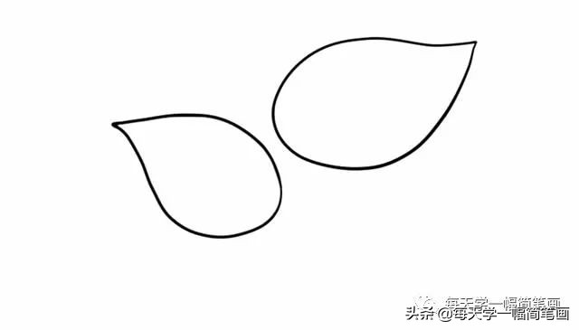 马蹄莲简笔画,马蹄莲的简笔画大全图片