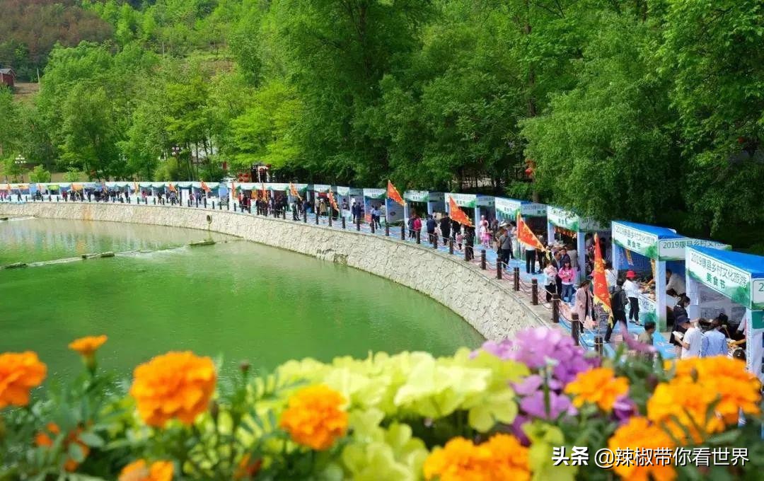 小城故事陇川,康县小城故事