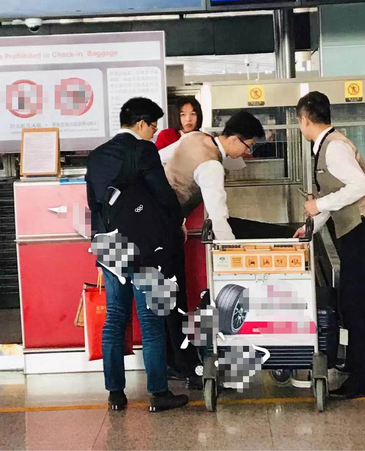 霍启刚背购物袋,霍启刚机场手捧郭晶晶的火炬