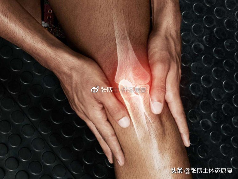 【运动康复科普】为什么你的膝关节内侧会出现疼痛？