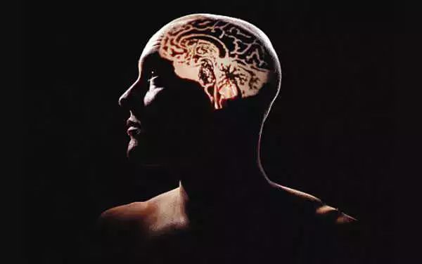 吸毒岔道什么意思,什么是吸毒岔道