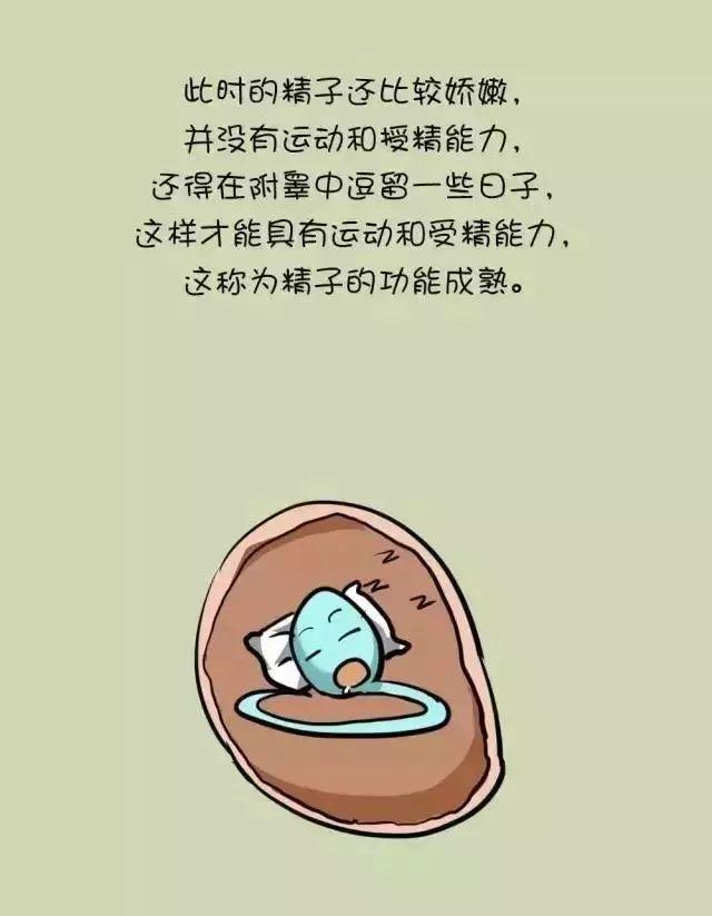 男性不孕不育中医治疗配方,男性治疗不孕不育要用什么药