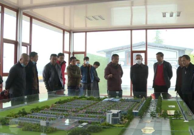 中国兰花之乡有哪些？为何云南独占7个？