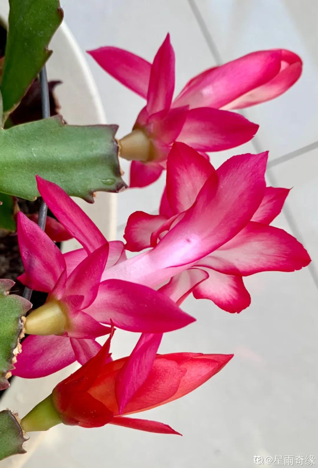 教你如何避开假货买到真品,一张图告诉你怎样分辨假货