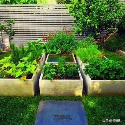 怎样在纸上种菜,纸上种菜的技术很简单