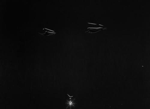 那些异国情趣SPA怎么这个亚子？