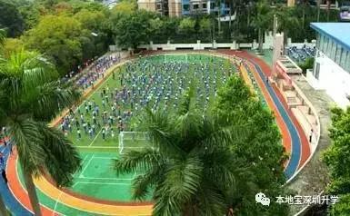 深圳所有民办小学,深圳有哪些民办3+2学校