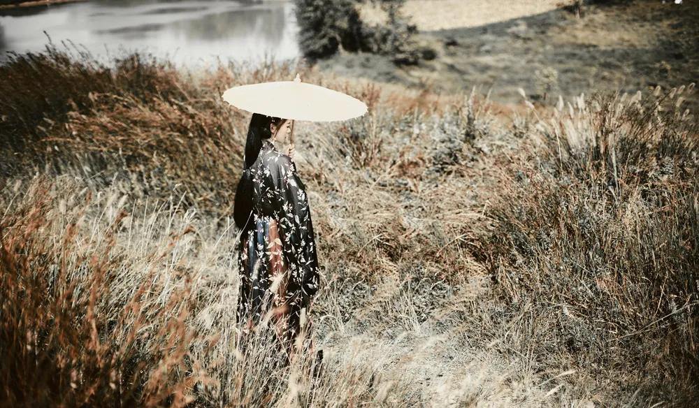 高质量经典文,高质量好文