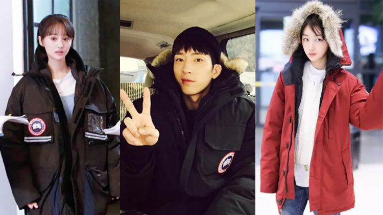 加拿大鹅用的是鸭绒还是鸭毛,加拿大鹅vs波司登羽绒服