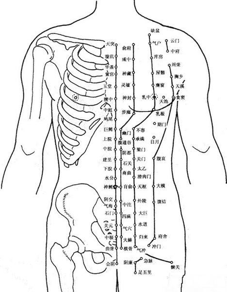 把穴位像药物一样分类后,运用竟如此简单