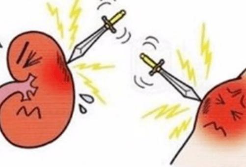 痛风有哪些症状痛风应注意些什么,痛风是怎么引起的痛风有哪些症状