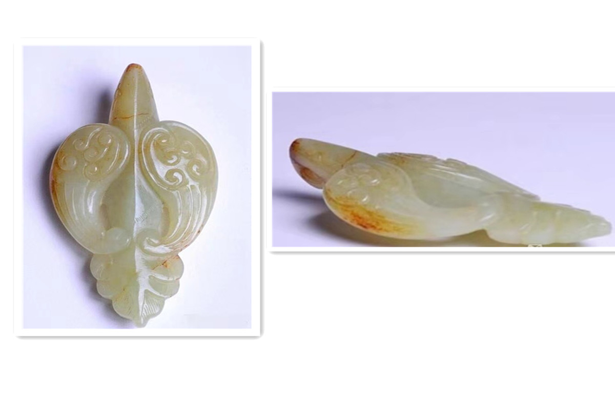 鸽子具有哪些个性和象征意义,鸽子在中西方的不同象征