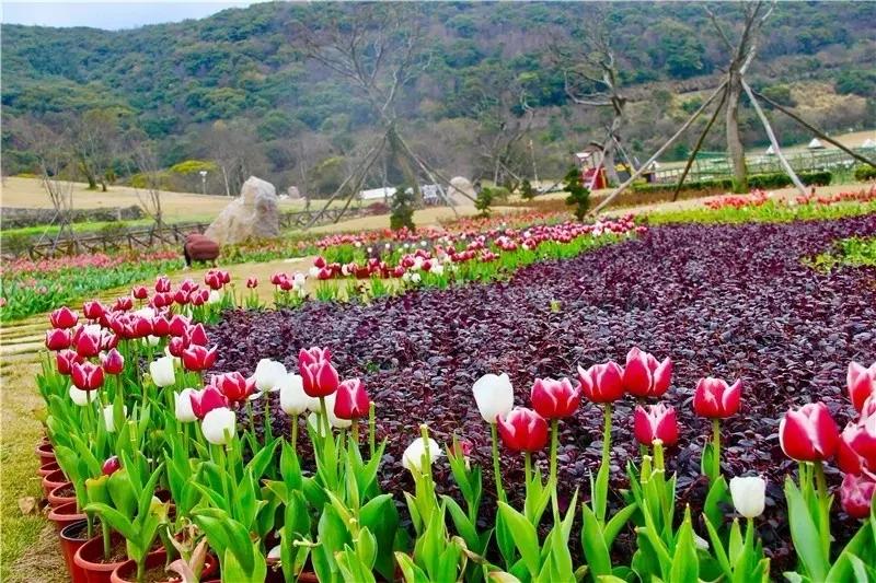 浙江舟山，是一座怎样的城市？