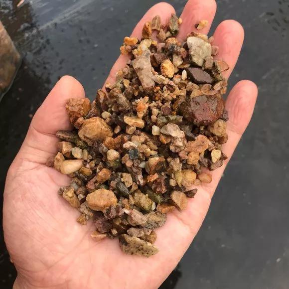 花儿闷根了怎么办,花儿栽上一天就蔫了怎么养护