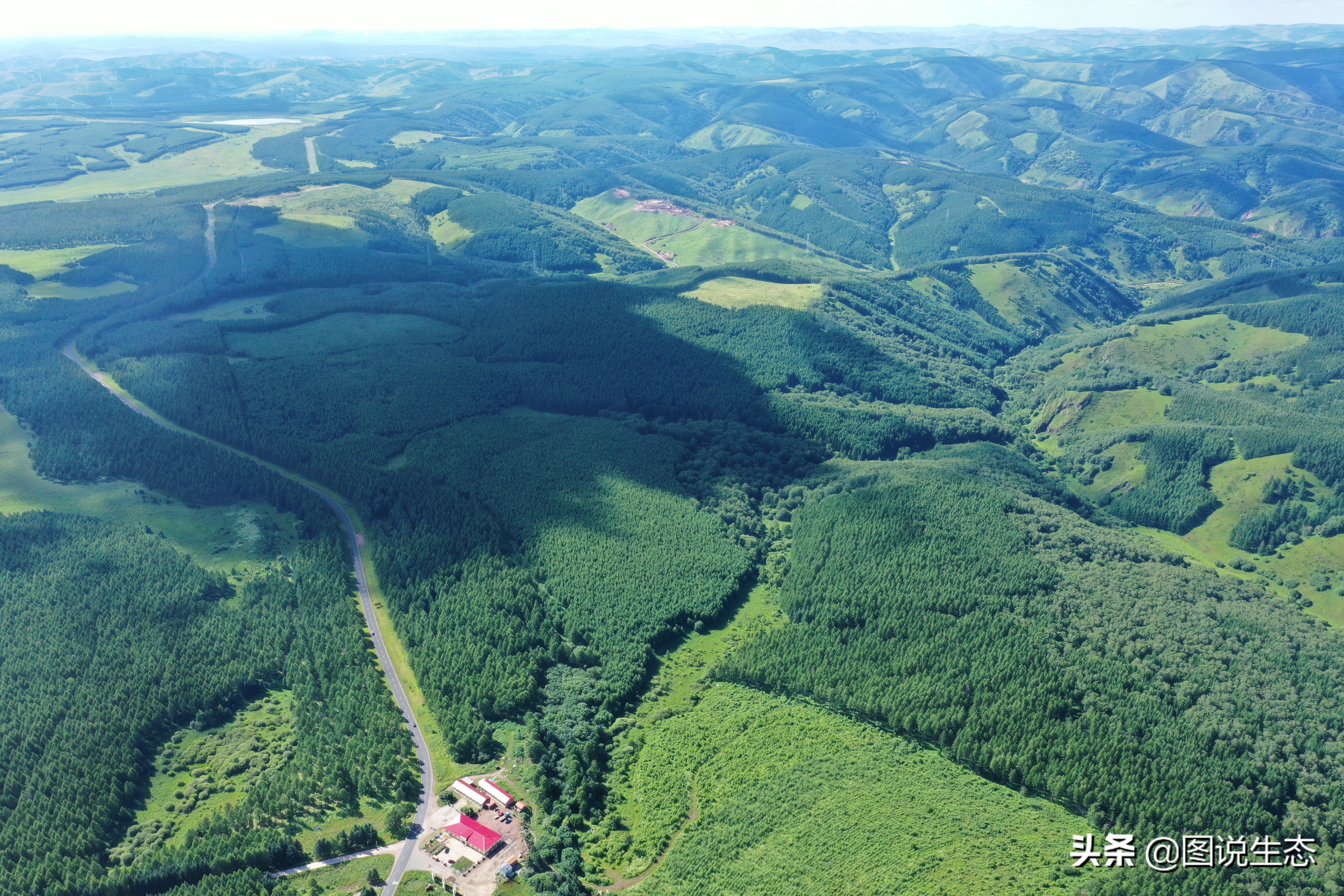 一口气看完塞罕坝全篇,参观塞罕坝有感1000字