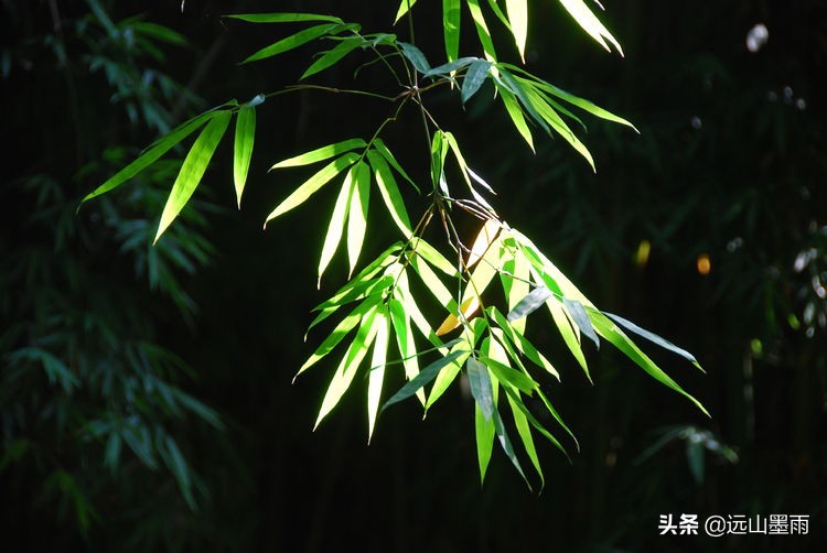 昆明嘉丽泽旅游景区,昆明嘉丽泽湿地露营