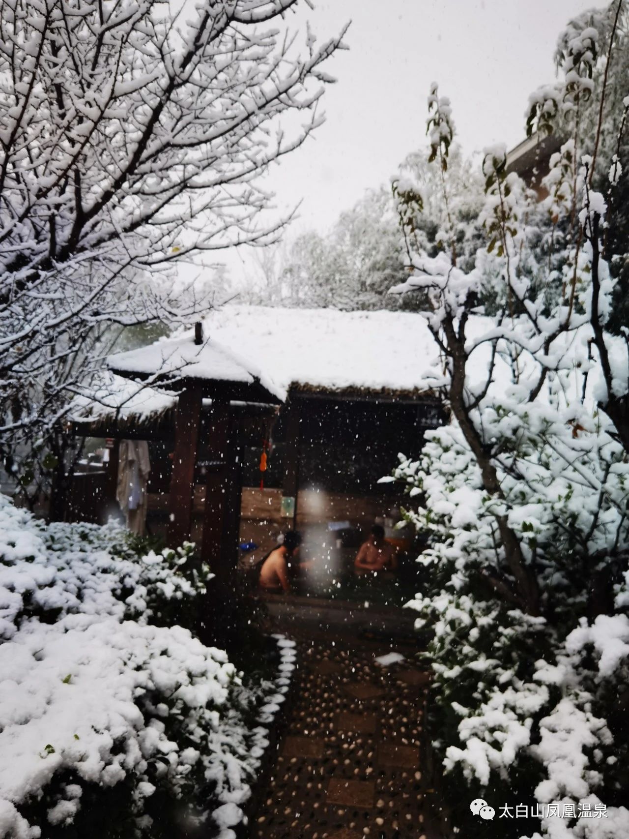 太白山艾兰温泉国际酒店,太白山凤凰温泉酒店住宿