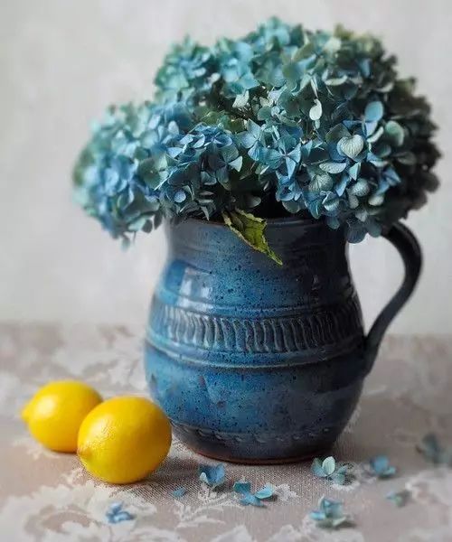 教你怎么学插花,小白零基础怎么学插花