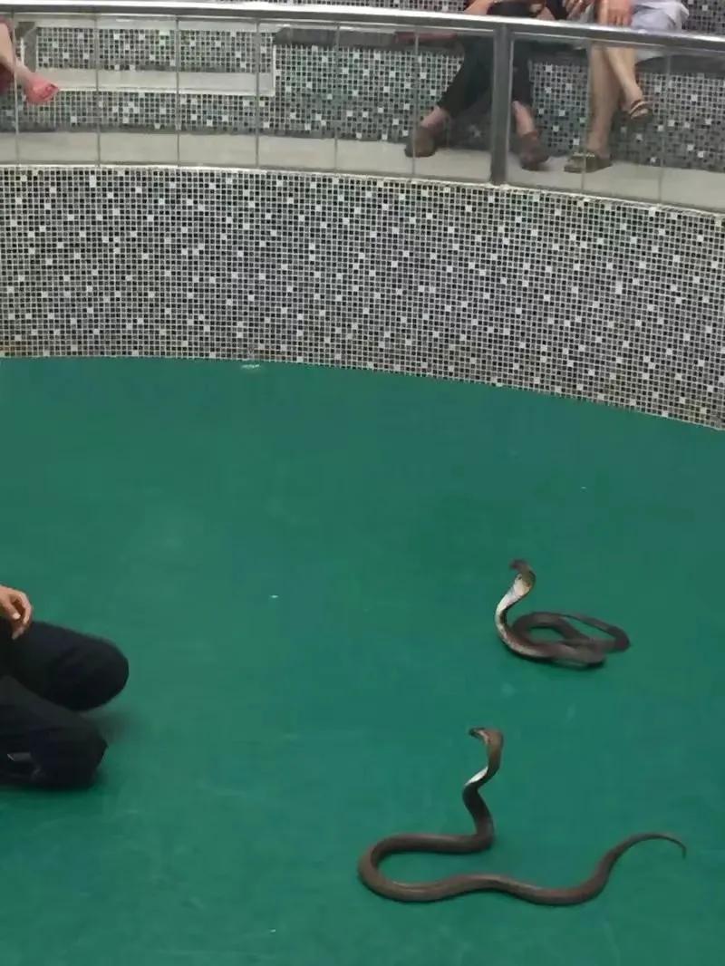 来普吉岛后感觉好难受,普吉岛最后一天购物