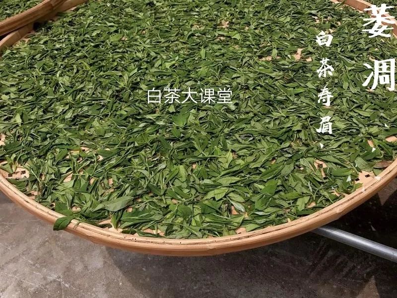 白茶是什么滋味,白茶讲的什么
