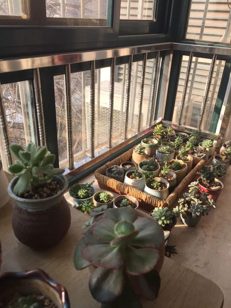 一见倾心二见,一见倾心二见倾城三见定终身