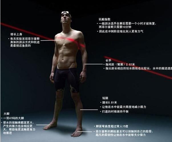 体育圈有哪些非人类,体坛五大非人类身体结构