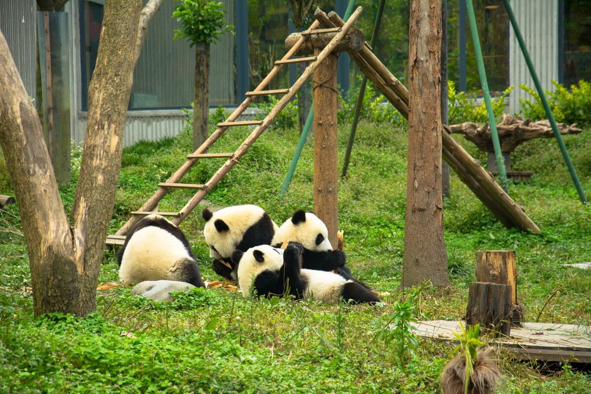 国家地理评选一生必去的50个城市,国家地理评选中国必去的50个地方