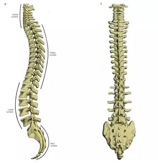 久站久坐久睡腰痛是怎么回事,腰痛久坐久站加重怎么办