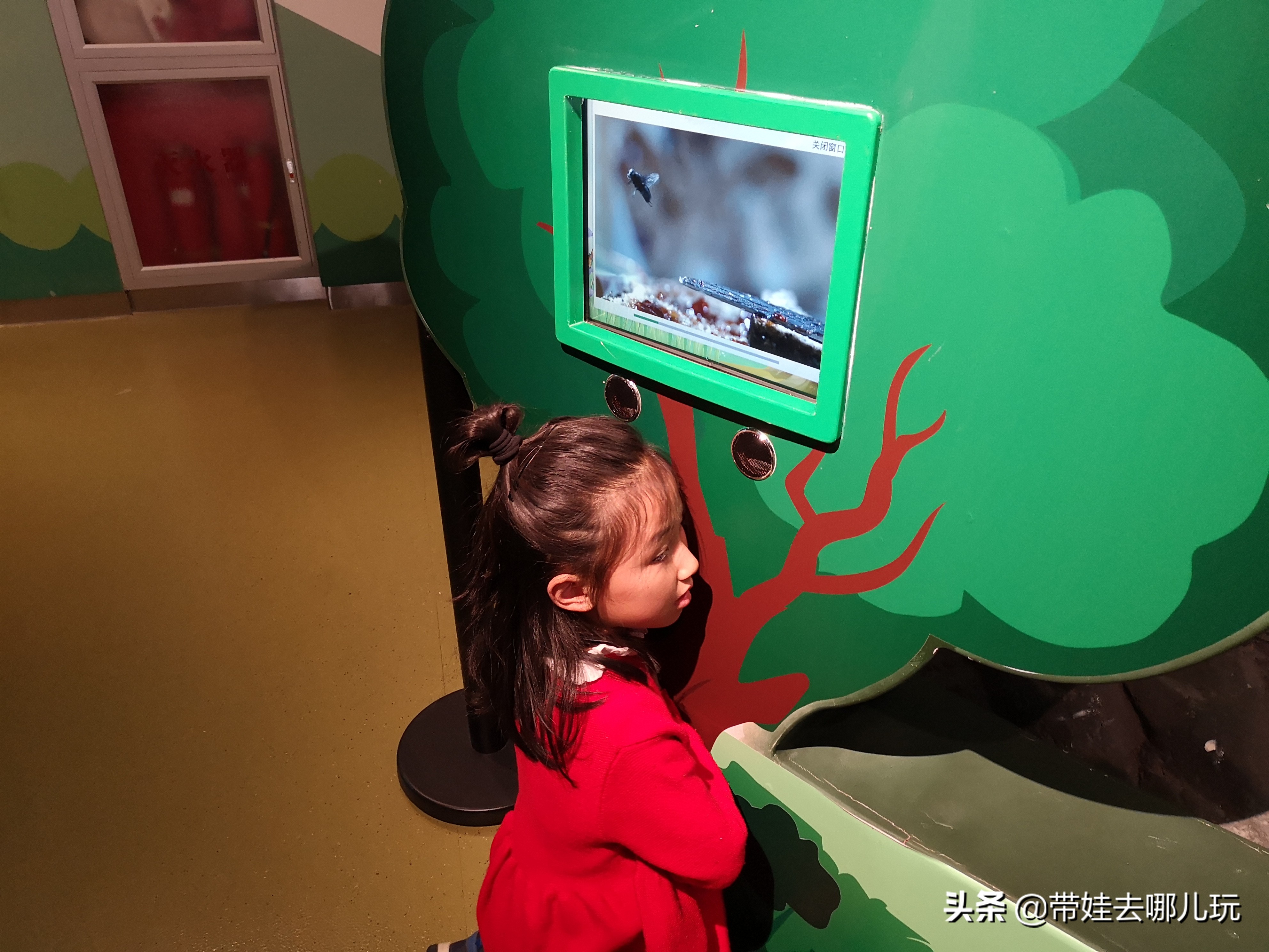 北京最大儿童乐园游乐场,北京最好玩的大童乐园