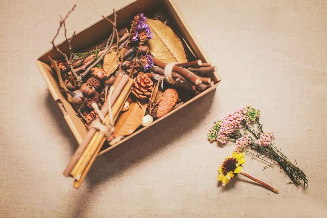 她31岁放弃北漂，回归自然，用枯枝败叶，打造了一个梦幻森林