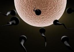 黑色受孕期内怀上的孩子能要吗