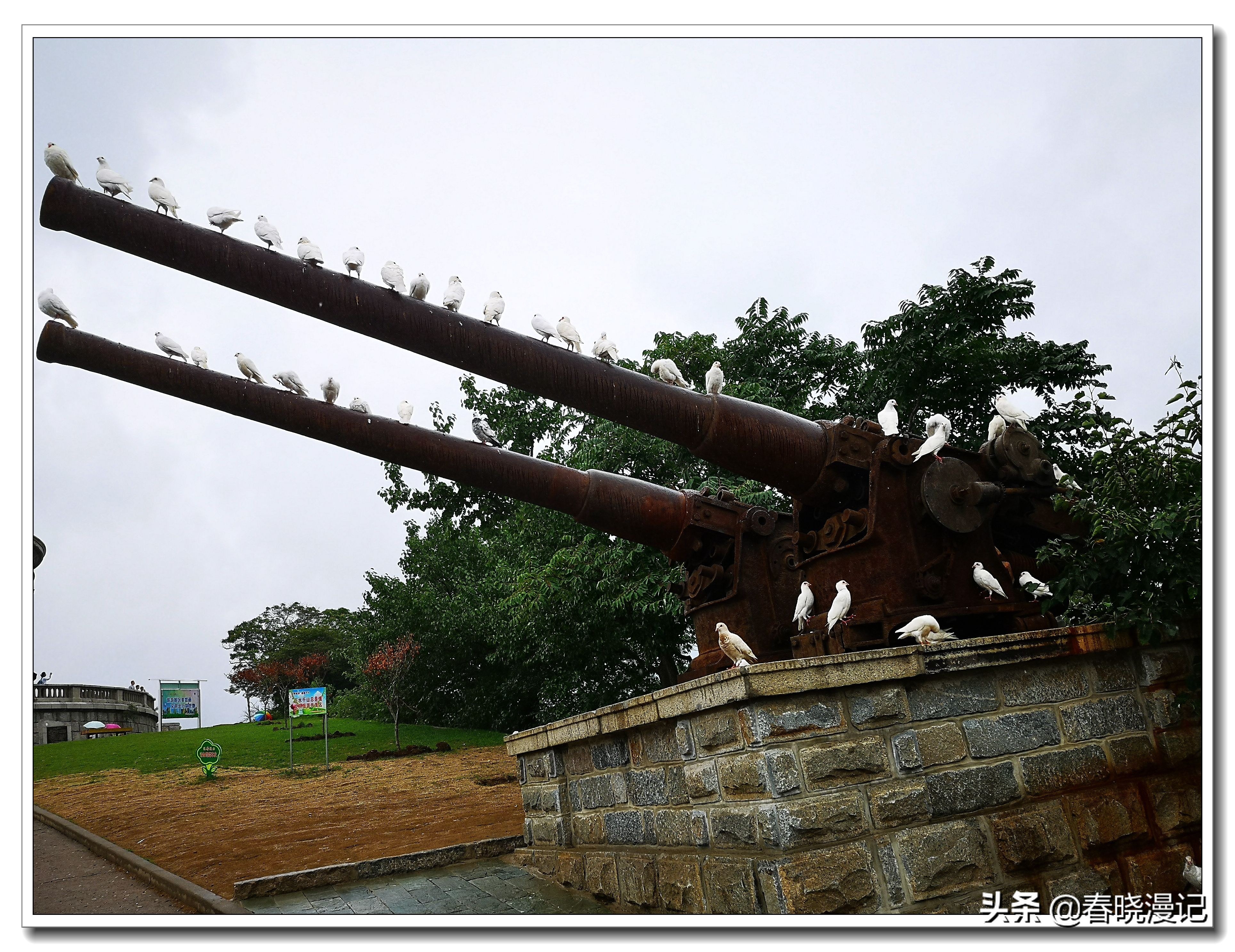 鍙傝鏃呴『鐖卞浗涓讳箟鏁欒偛鍩哄湴鏃ヨ,鏃呴『鏄ユ父鐖卞浗涓讳箟鍏洯