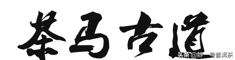 马锅头传奇作者,马锅头茶叶起源