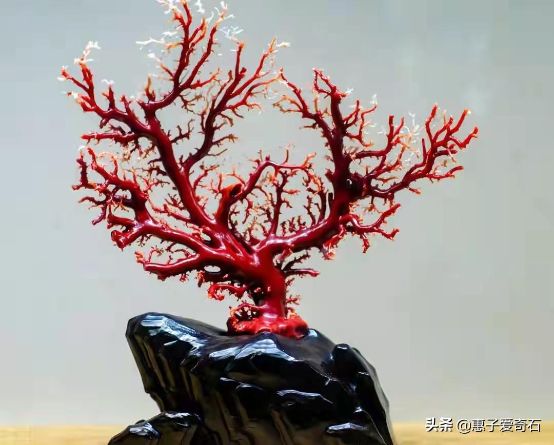 台湾稀世珍宝排名,台湾奇石精品图片