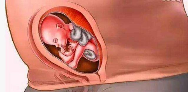 怀胎十月胎儿位置图,怀胎十月婴儿发育全过程