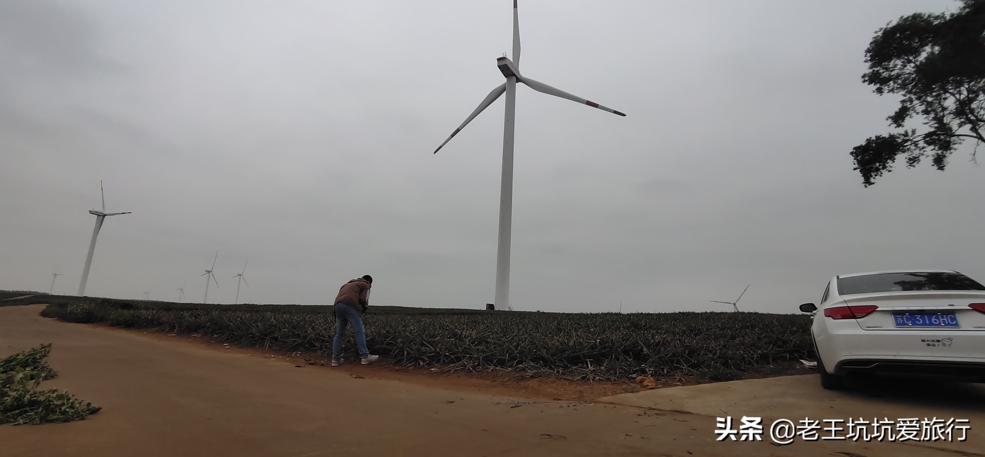 自驾无锡到三亚自驾游,无锡自驾海南三亚