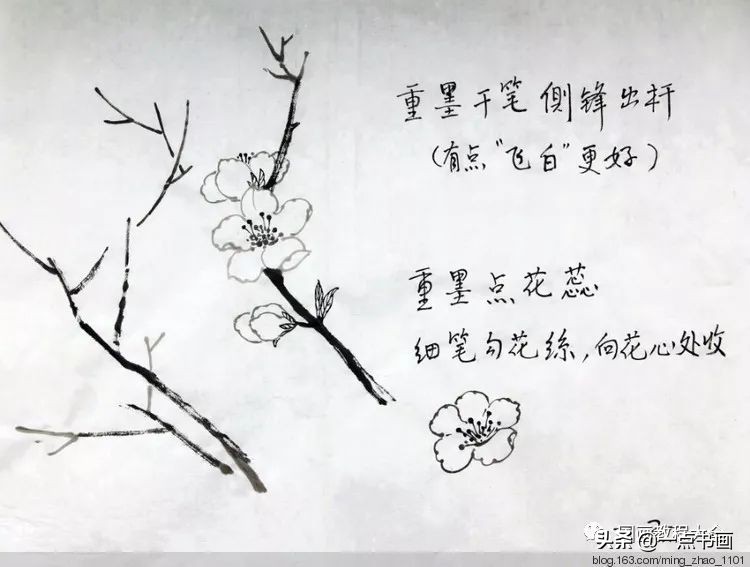 国画桃花颜色怎么调,徐湛教桃花国画画法
