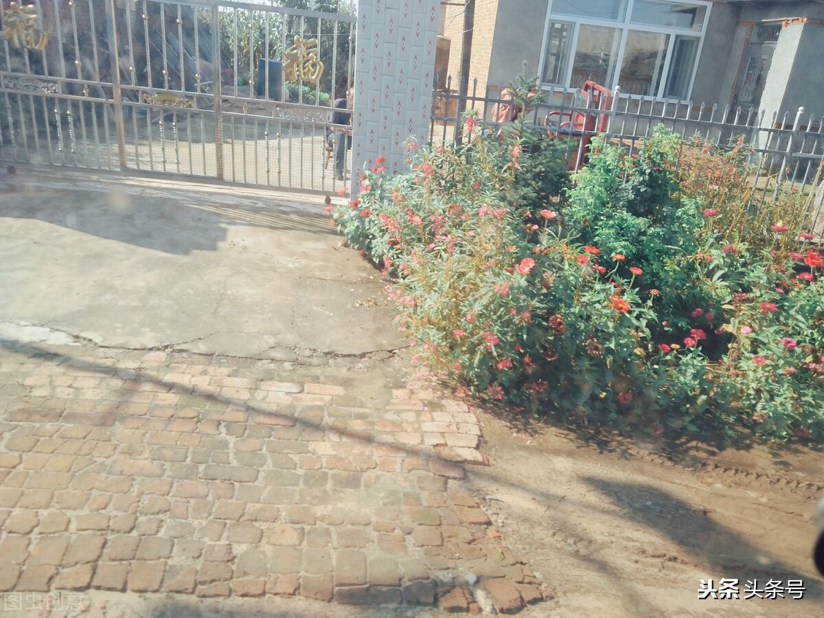 她做保姆的这些年豪门生活之十四,她做保姆这些年之豪门生活五十七