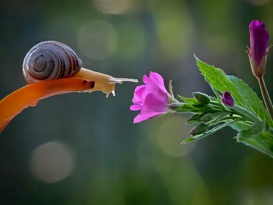 缘分的天空让我们在这里相遇,缘分的天空似曾相识