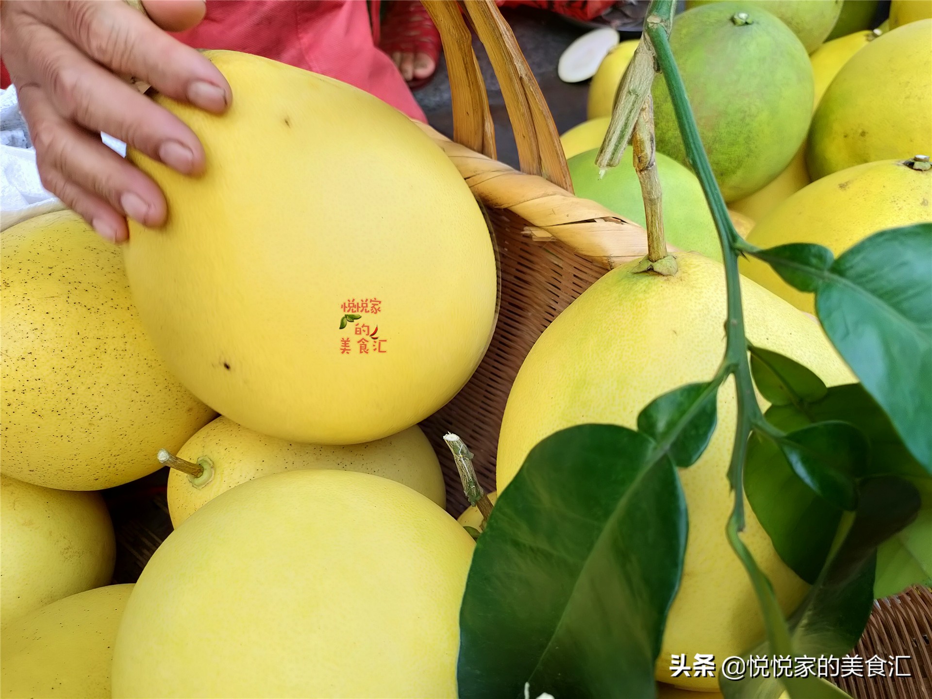 怎么挑柚子比较好吃,怎样挑柚子又甜又有水分又好吃