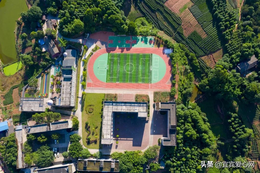 航拍青山绿水震撼风景竖屏视频,震撼校园秋景航拍