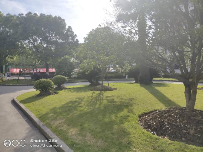 vivoz5x全面详细评测,美得不像千元机vivoz5x精美体验