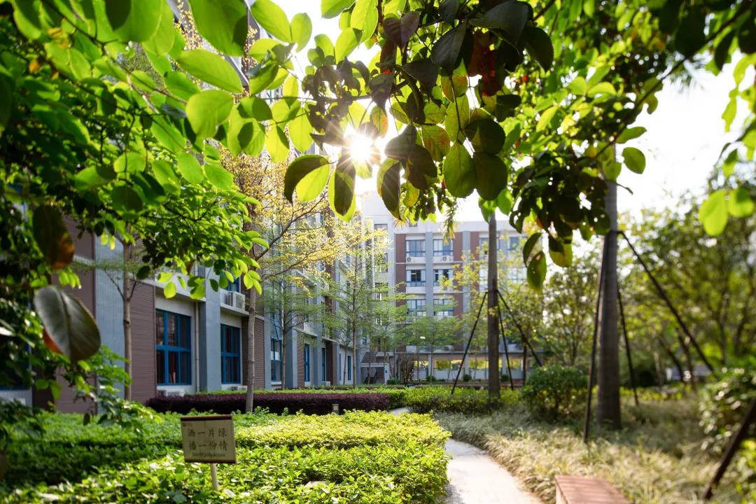 深中龙初入学积分,深圳中学初中部与深中龙初哪个好