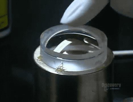 怎么知道网上的视频是不是专业摆拍?