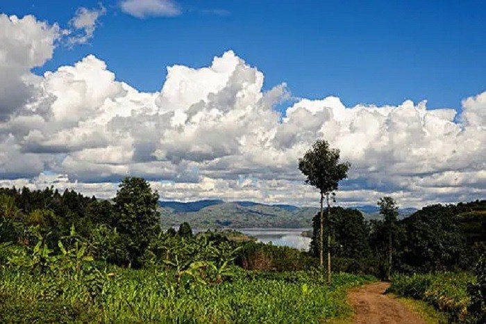 非洲小国卢旺达:与中国密切合作,经济发展快,看不到任何脏乱差