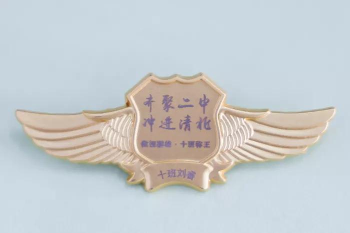 凝聚集体力量的班徽,团结友爱拼搏进取班徽