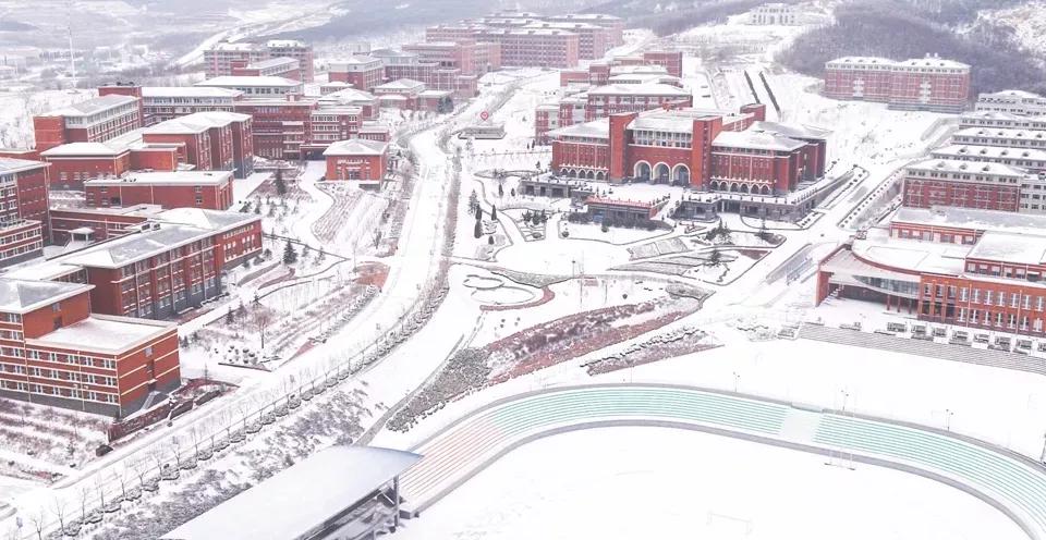 民办学校大连艺术学院全国排名,大连艺术学院辽宁排名