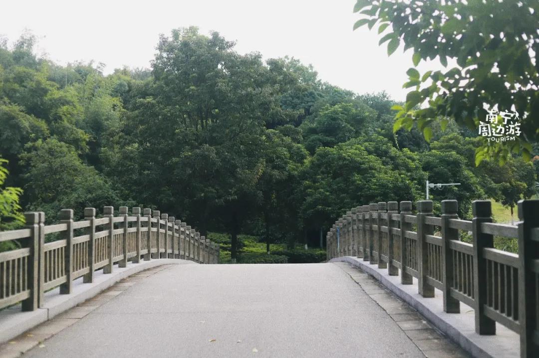 南宁花海公园在哪里,南宁嘉和城附近花海